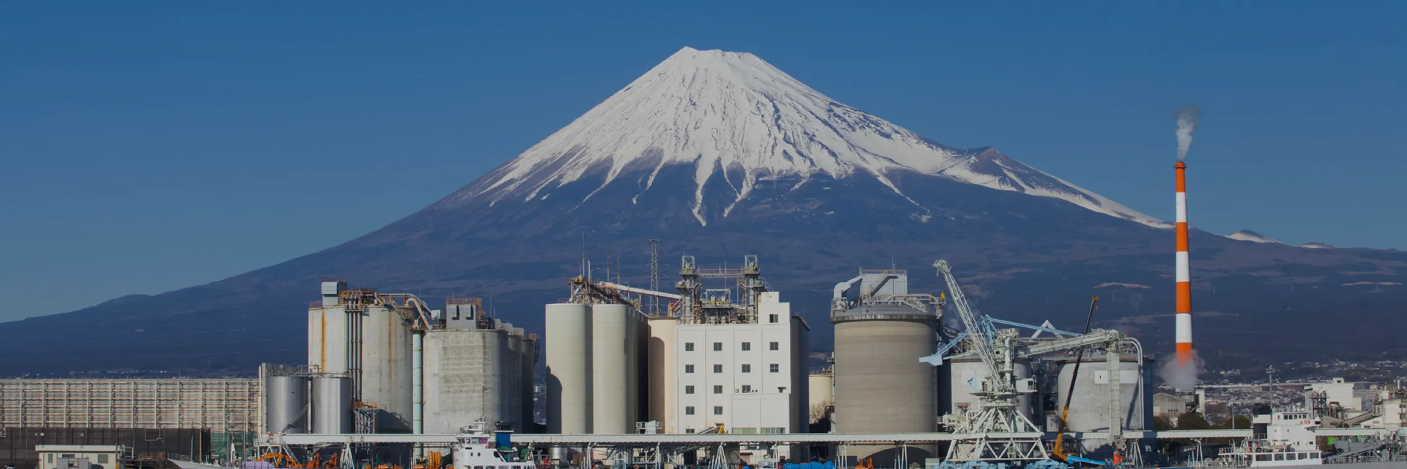 Chemical Marketplace | BuyChemJapan